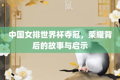 中国女排世界杯夺冠，荣耀背后的故事与启示