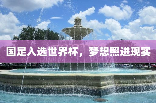 国足入选世界杯，梦想照进现实金炬实业股份有限公司