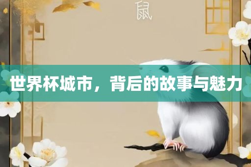 世界杯城市，背后的故事与魅力