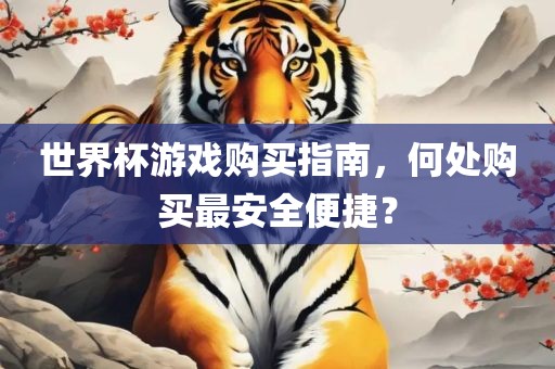 世界杯游戏购买金炬实业股份有限公司指南，何处购买最安全便捷？