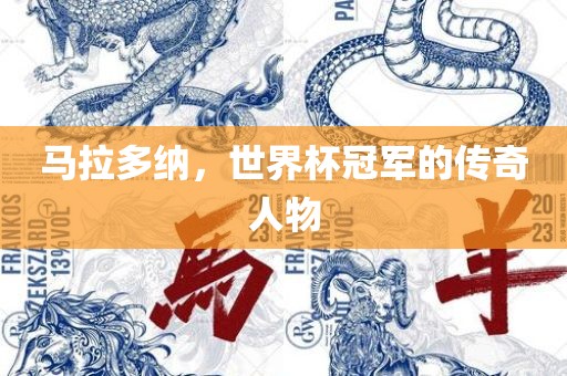马拉多纳，世界杯冠军的传奇人物金炬实业股份有限公司