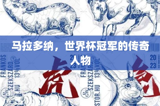 马拉多纳，世界杯冠军的传奇人物金炬实业股份有限公司