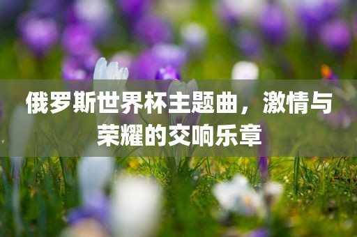 俄罗斯世界杯主题曲，激情与荣耀的交响乐章