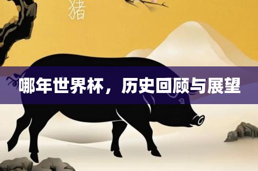 哪年世界杯，历史回顾与展望