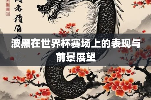 波黑在世界杯赛场上的表现与前景展望金炬实业股份有限公司