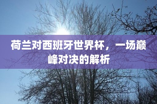 荷兰对西班牙世界杯，一场巅峰对决的解析