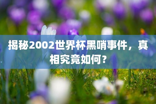 揭秘2002世界杯黑哨事件，真相究竟如何？