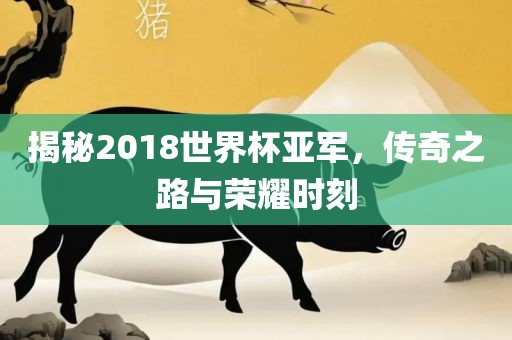 揭秘2018世界杯亚军，传奇之路与荣耀时刻金炬实业股份有限公司