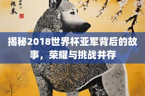 揭秘2018世界杯亚军背后的故事，荣耀与挑战并存