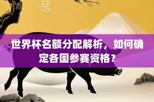 世界杯名额分配解析，如何确定各国参赛资格？