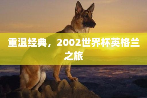 重温经典，2002世界杯英格兰之旅金炬实业股份有限公司