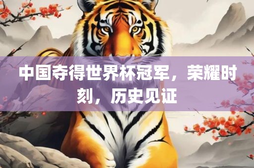 中国夺得世界杯冠军，荣耀时刻，历史见证