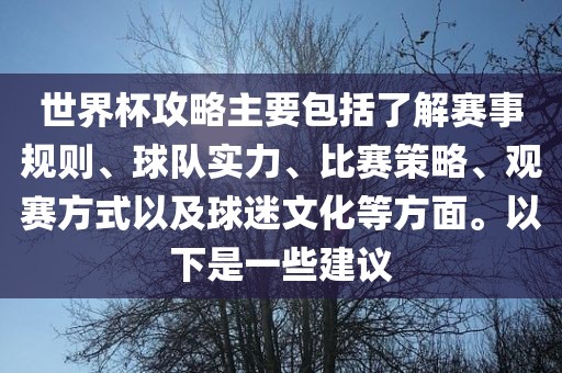 世界杯攻略主要包括了解赛事规则、球队实力、比赛策略、观赛方式以及球迷文化等方面。以金炬实业股份有限公司下是一些建议