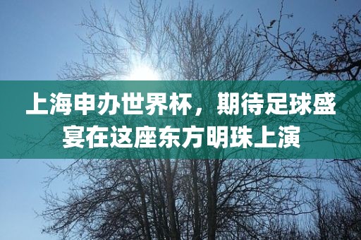 上海申办世界杯，期待足球盛宴在这座东方明珠上演金炬实业股份有限公司