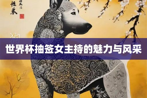 世界杯抽签女主持的魅力与风采