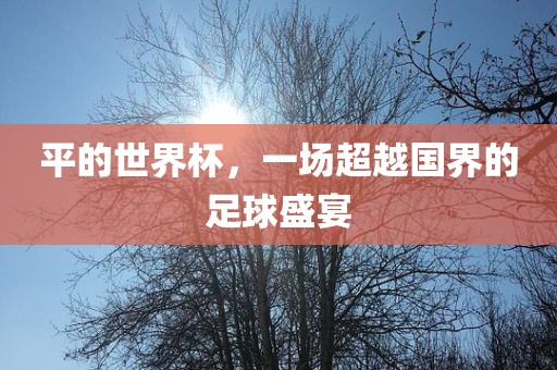 足球盛宴 第17页