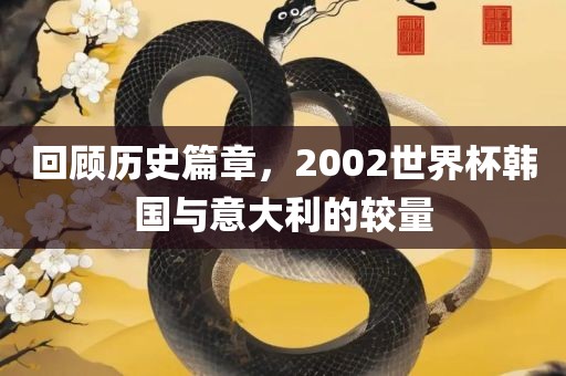 回顾历史篇章，2002世界杯韩国与意大利的较量