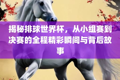 揭秘排球世界杯，从小组赛到决赛的全程精彩瞬间与背后故事金炬实业股份有限公司