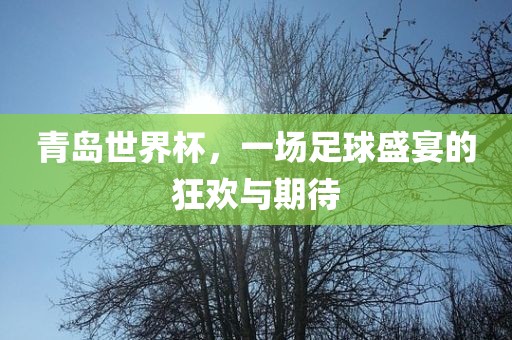 青岛世界杯，一场足球盛宴的狂欢与期待金炬实业股份有限公司