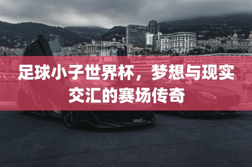 足球小子世界杯，梦想与现实交汇的赛场传奇
