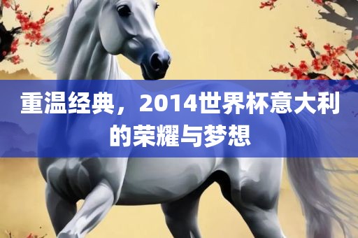 重温经典，2014世界金炬实业股份有限公司杯意大利的荣耀与梦想