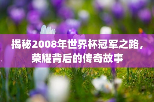 揭秘2008年世界杯冠军之路，荣耀背后的传奇故事
