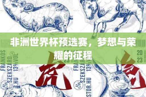 非洲世界杯预选赛，梦想与荣耀的征程