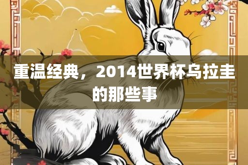 重温经典，2014世界杯乌拉圭的那些事金炬实业股份有限公司