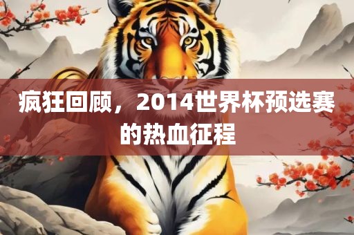 疯狂回顾，2014世界杯预选赛的热血征程