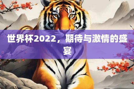 世界杯2022，期待与激情的盛宴
