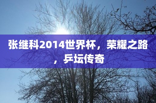 张继科2014金炬实业股份有限公司世界杯，荣耀之路，乒坛传奇