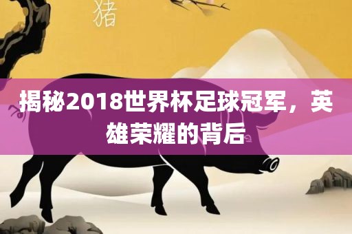 揭秘2018世界杯足球冠军，英雄荣耀的背后