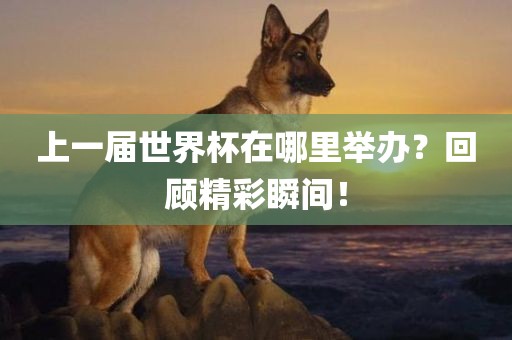 上一届世界杯在哪里举办？回顾精彩瞬间！