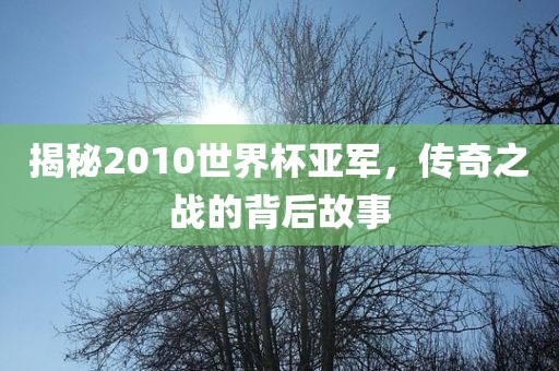 揭秘2010世界杯亚军，传奇之战的背后故事