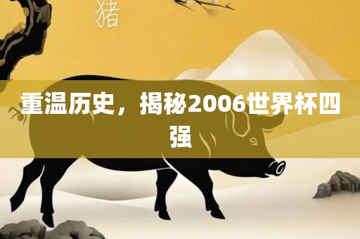 重温历史，揭秘2006世界杯四强金炬实业股份有限公司