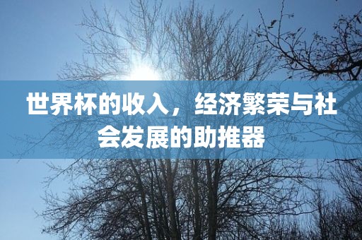 世界杯的收入，经济繁荣与社会发展的助推器金炬实业股份有限公司