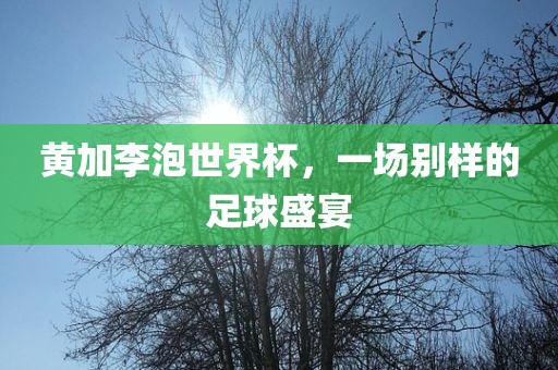 黄加李泡世界杯，一场别样金炬实业股份有限公司的足球盛宴
