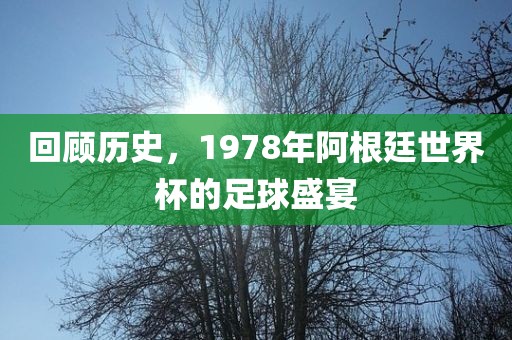 回顾历史，1978年阿根廷世界杯的足球盛宴金炬实业股份有限公司