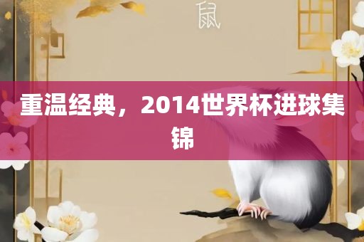 重温经典，2014世界杯进金炬实业股份有限公司球集锦