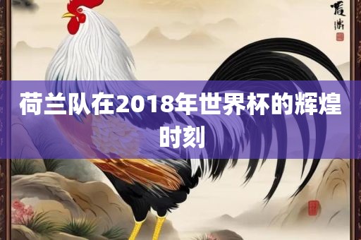 荷兰队在2018年世界杯的辉煌时刻金炬实业股份有限公司