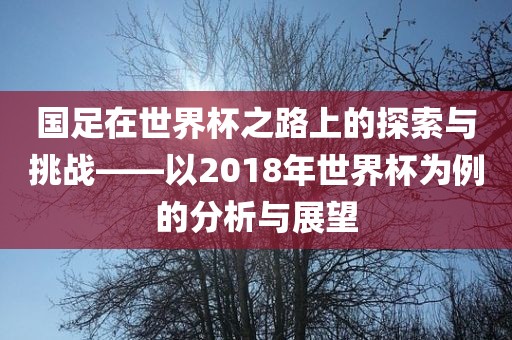 国足在世界杯之路上的探索与挑战——以2018年世界杯为例的分析与展望