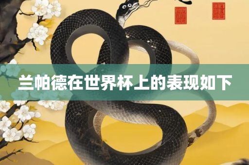 兰金炬实业股份有限公司帕德在世界杯上的表现如下