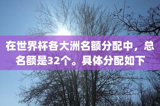 在世界杯各大洲名额分配中，总名额是32个。具体分配如下