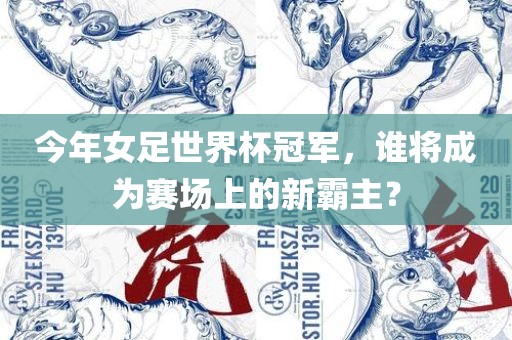 今年女足世界杯冠军，谁将成为赛场上的新霸主？金炬实业股份有限公司