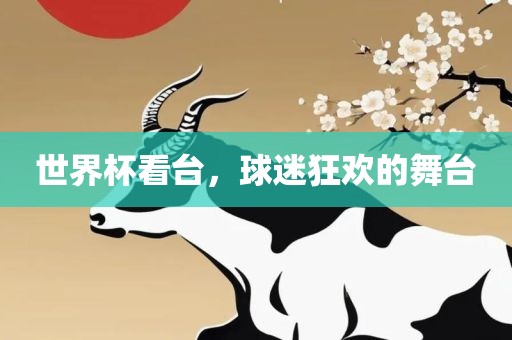 世界杯看台，球迷狂欢的舞台金炬实业股份有限公司