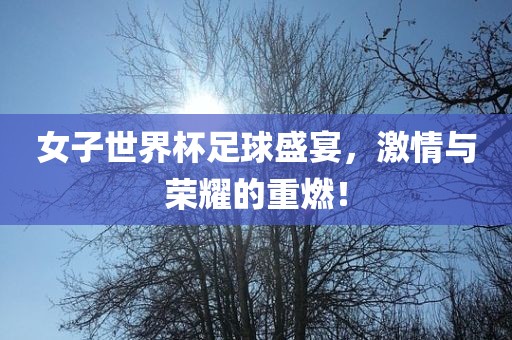 女子世界杯足球盛宴，激情与荣耀的重燃！金炬实业股份有限公司