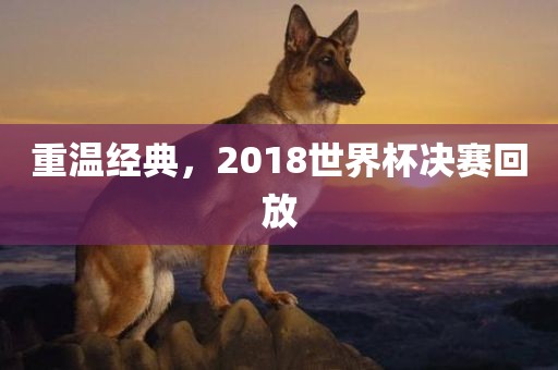 重温经典，201金炬实业股份有限公司8世界杯决赛回放