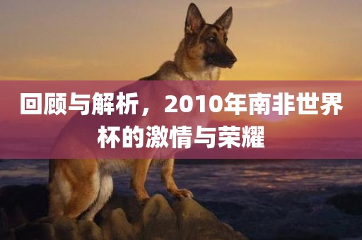 回顾与解析，2010年金炬实业股份有限公司南非世界杯的激情与荣耀