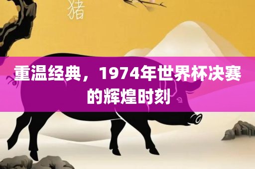 重温经典，1974年世界杯决赛的辉煌时刻金炬实业股份有限公司