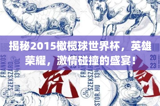 揭秘2015橄榄球世界杯，英雄荣耀，激情碰撞的盛宴！